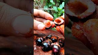 Jamun Fruit | Summer Fruit in India #shorts #indianstreetfood #blackberry #ashortaday