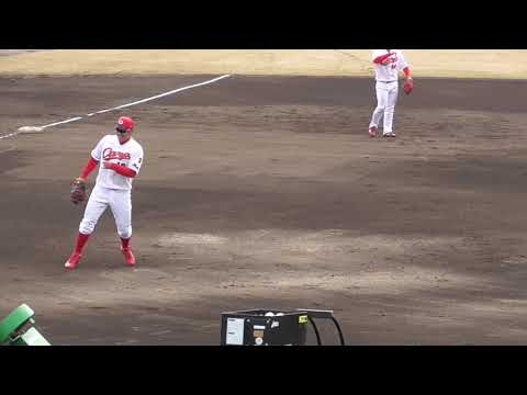 広島ｶｰﾌﾟ春季ｷｬﾝﾌﾟ東光寺球場 内野手捕球練習② 2019年2月10日