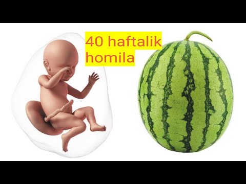 Video: Homiladorlikning 40 Xaftasi: Hislar, Homila Rivojlanishi