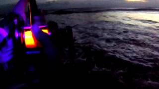 Red drum redfish drum fishing Cape Hatteras North Carolina off of Buxton point