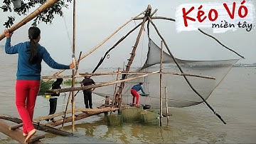 Sông Nước Miền Tây / ký ức kéo vó cá linh mùa nước nổi 2019