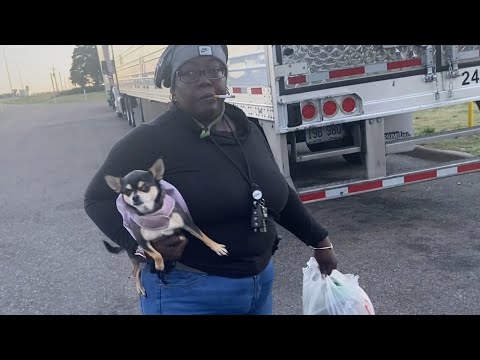 ლაფსუსის აღდგენა.. არხის არსი..