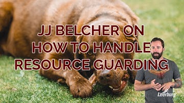 JJ Belcher on How to Handle Resource Guarding