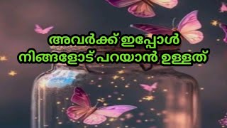 അവരുടെ Message നിങ്ങൾക്ക് ആയിട്ട് ഉള്ളത് ⏳ Timeless reading