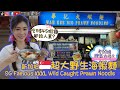 給老闆娘罵😅新加坡【米其林🦐超級貴😱蝦麵】SG Michelin XXXL Wild Caught Prawn Noodle😵Lady Boss really Fierce??😵