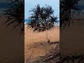 Mini Vlog Pantai yang bikin rindu 😁
