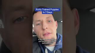 How To Potty Train Your Puppy In 7 Days or LESS!