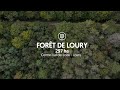 Ref:26cJsCdDMQA For�t de loury - loiret - la belle for�t