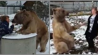 Unbelievable friendship people and wild animals videos 2018