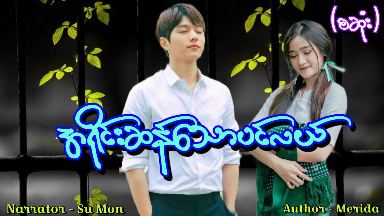 အရိုင်းဆန်သောပင်လယ်(စဆုံး) #tzaudiobook#romantic#love#drama 