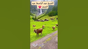 عبد الباسط عبدالصمد ❤️. #explore #اكسبلور  #trending  #دويتو  #قرآن  #تلاوة_خاشعة