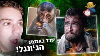 הקופים שהצילו בן אדם באמצע הג'ונגל! (סיפור אמיתי)