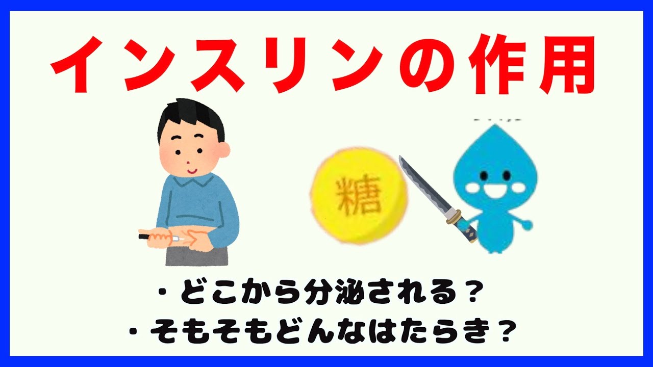 インスリンってどうやって血糖値を下げているの 看護師国家試験対策 Youtube