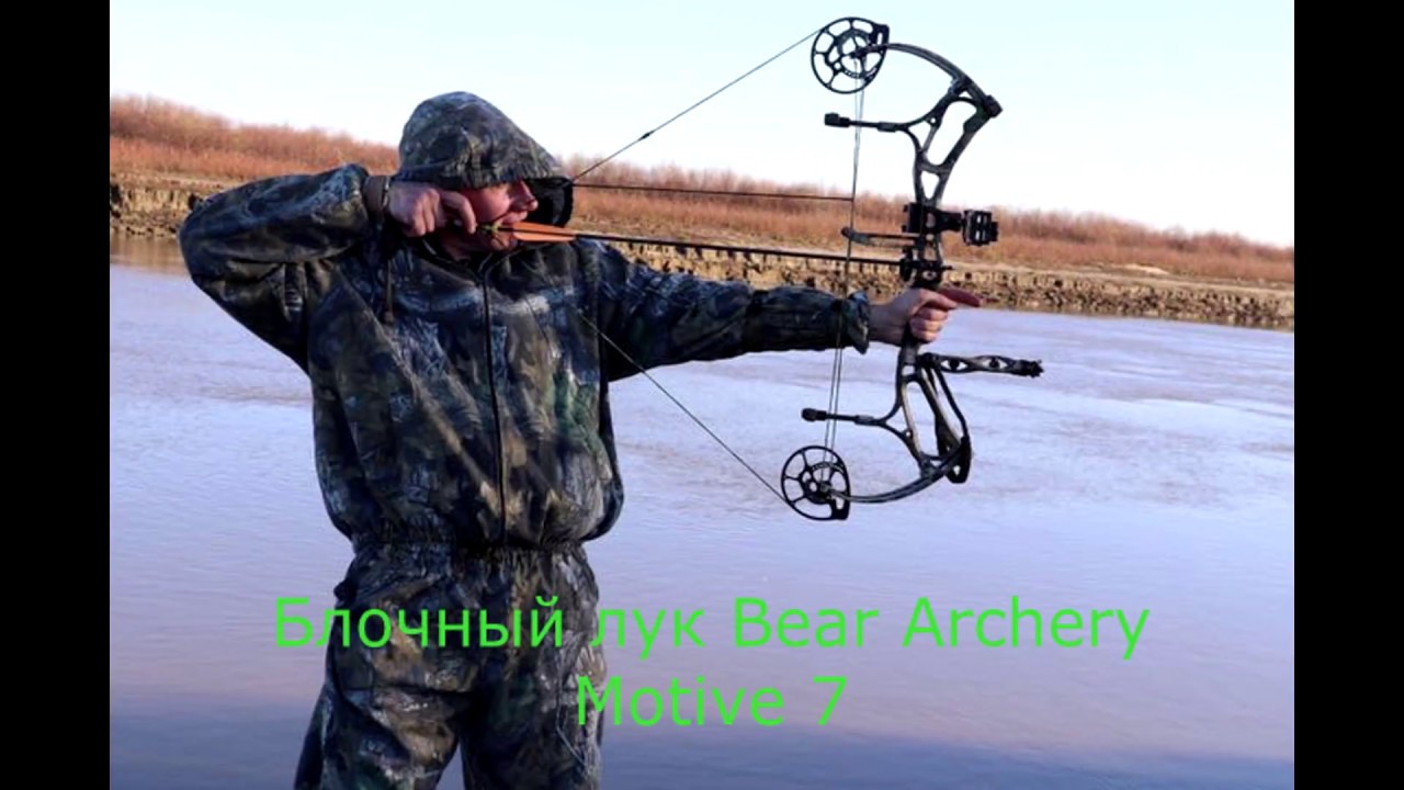 Стреляю из блочного лука Bear Archery Motive 7