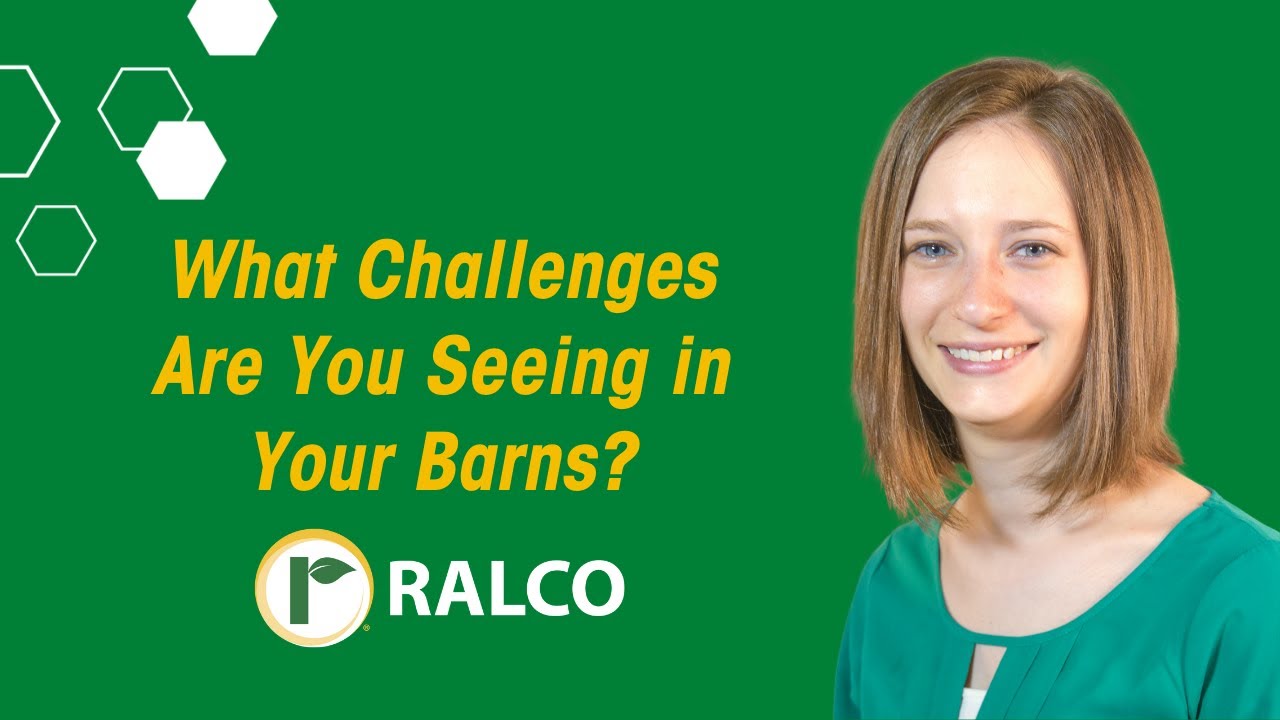 Addressing 3 Common Challenges Your Swine Operation Might Face