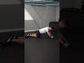 Nordic Hamstring Curl With Ab Wheel