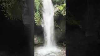 #Shorts #Waterfall #Nature #Travel #ChasingWaterfalls #WaterfallVideo #NatureLovers #Viral #