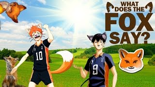 Волейбол - What Does The Fox Say? (Haikyuu!)