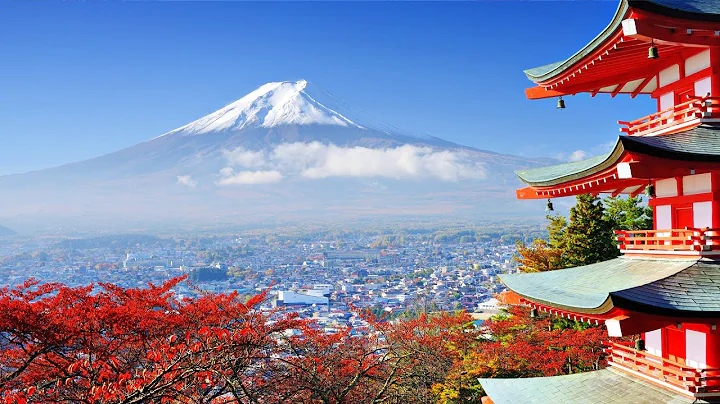 Autumn Forest Ambience [Music by Adrian von Ziegler - Autumn Forest, Relaxing Celtic Music]