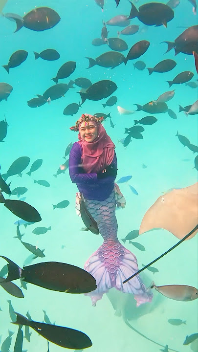 Berenang sama hiu.. #riaricis