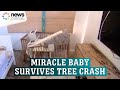 Miracle baby survives as tree crushes house