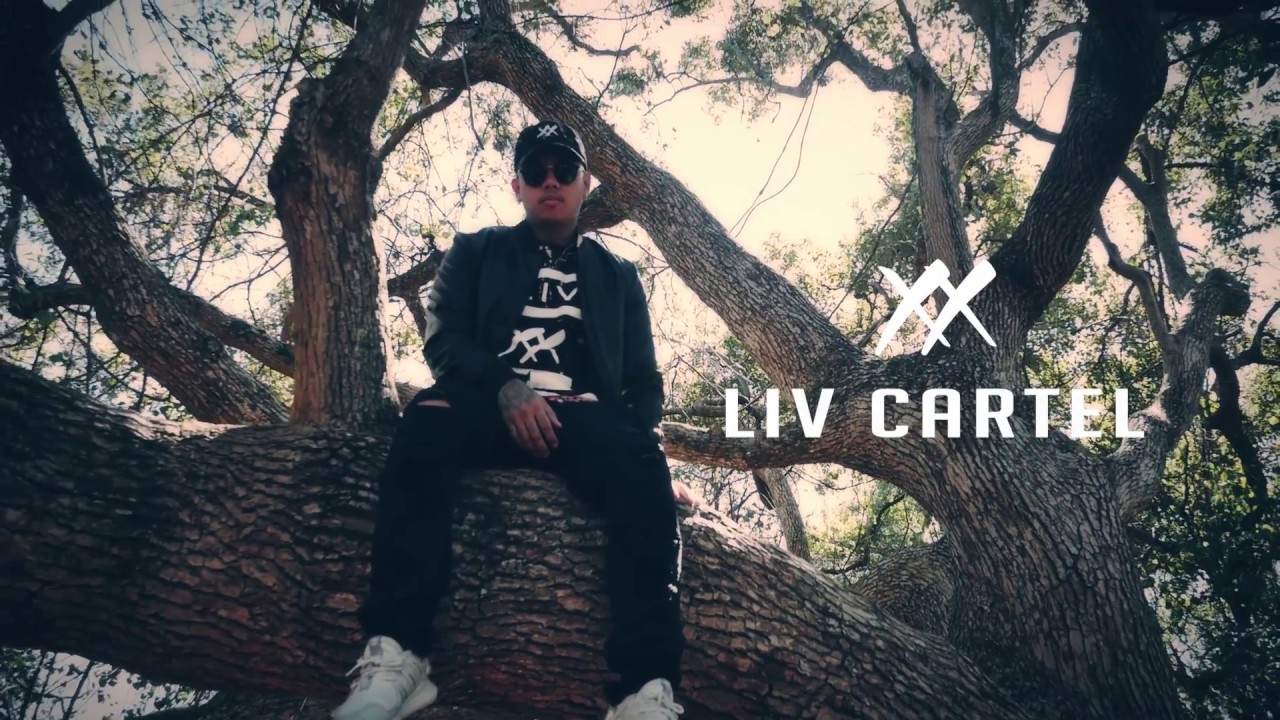 Define Your Lifestyle: Liv Cartel