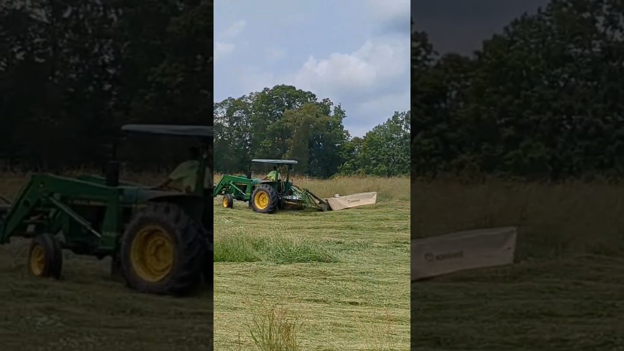 Cutting hay for winter cattle food 