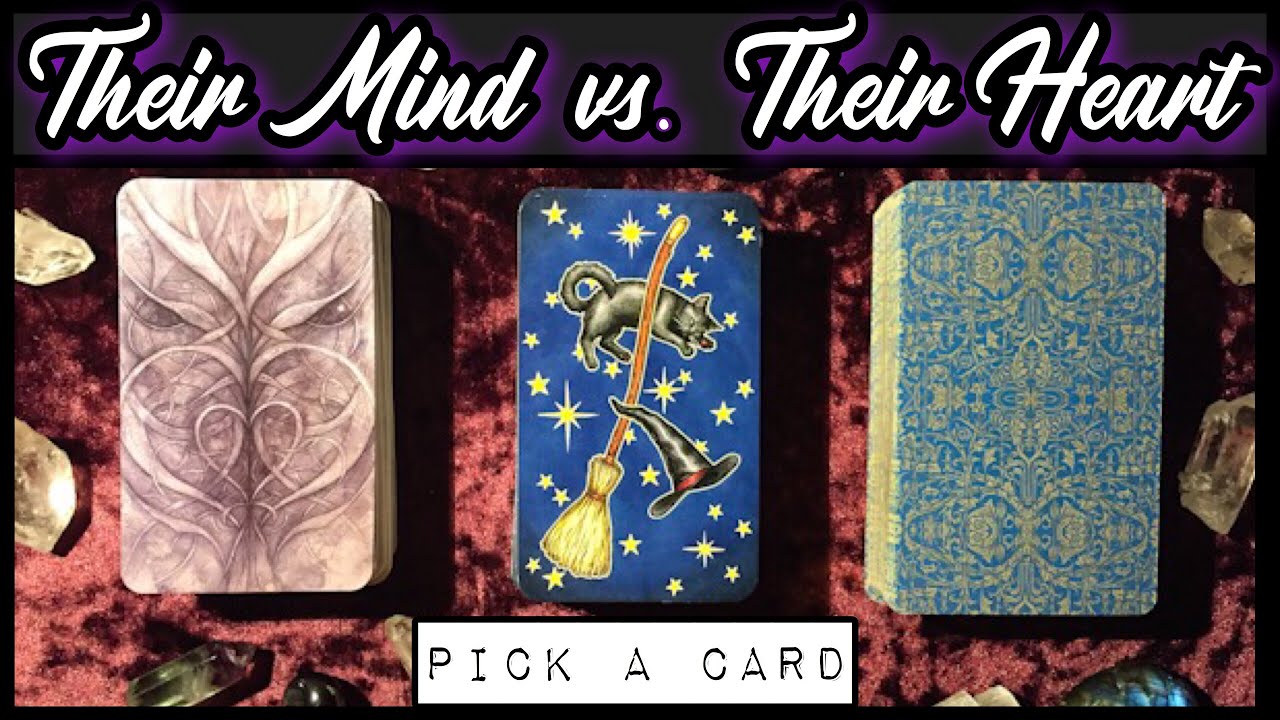 PICK A CARD 💞 YOUR PERSON: THEIR MIND VS. THEIR HEART