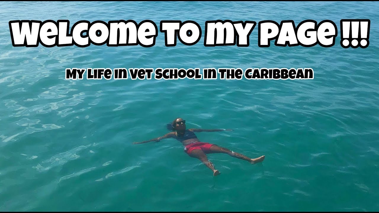 to My Page (Vet School in the Caribbean at SGU) YouTube