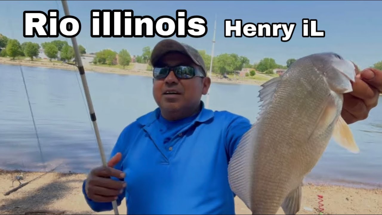 Pesca de silver bass en el rio illinois YouTube