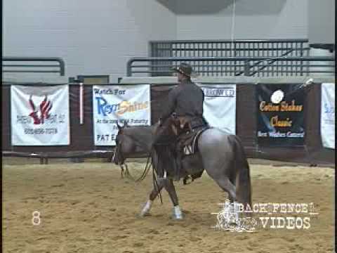Pepto Stylish Pancho - 2008 Southern Cutting Horse...