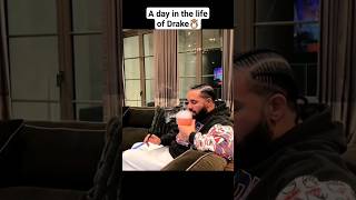 A day in the life of Drake🦉