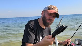 видео: НОВАЯ ЛОКАЦИЯ🫡РАЗДАЧА САРГАНА 🦈  картинка: НОВАЯ ЛОКАЦИЯ🫡РАЗДАЧА САРГАНА 🦈