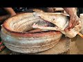 Giant yellow monster eel fish cutting skills in fish market  fish cutting in bangladesh