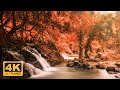 11 HOURS of 4K Enchanting Autumn Nature Scenes + Relaxing Piano Music for Stress Relief