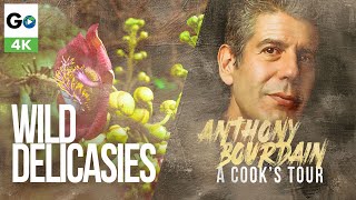 Anthony Bourdain A Cooks Tour Wild Delicacies 1 Episode 5: Wild Delicacies (4K)