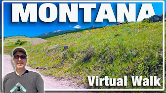 Peaceful Montana Nature Walk | Livingston Peak Rd | Treadmill Walk - Mountain Views & Wildflowers 4K
