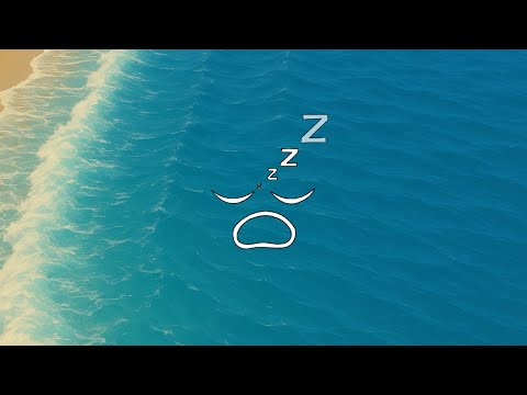 niamos! ~ andor lofi (star wars)
