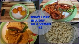 What I Eat In A Day As A Vegan #2