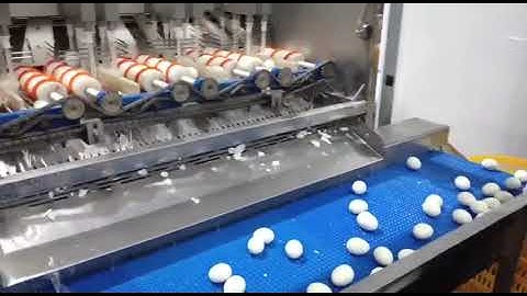 TD-200-2M Soft-Boiled Egg Peeling Machine Working Video Show