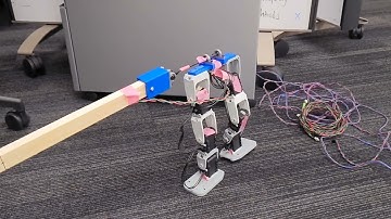 ECE 4560 Biped Robot Lab - Final Submission Video