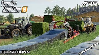 Wrapping 165 bales with X-tractor | Animals on Felsbrunn | Farming Simulator 19 | Episode 36