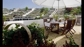 Plantas para decorar una terraza - Decogarden