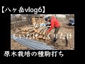 【八ヶ岳vlod 6】「しいたけ・くりたけ・なめこの原木栽培種駒打ち」