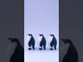 コウテイペンギンキャンドル販売開始｜Penguin Candle