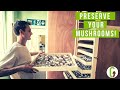 9 ways to preserve mushrooms  grocycle