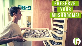 9 Ways To Preserve Mushrooms | GroCycle