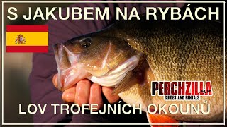 With Jakub fishing - Perchzilla - Trophy perch fishing
