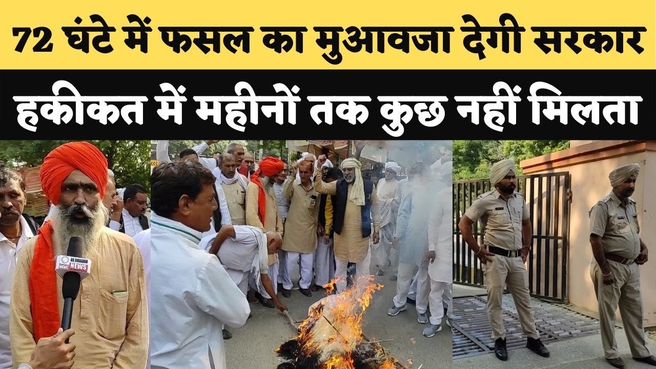 Haryana government giving crops compensation to farmers but in real ...