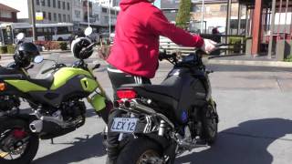 Grom Dual Exhaust - Sydney Grom Squad